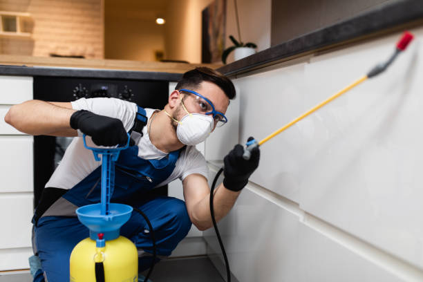 Best Rat Extermination Near Me  in Greenvle, IL