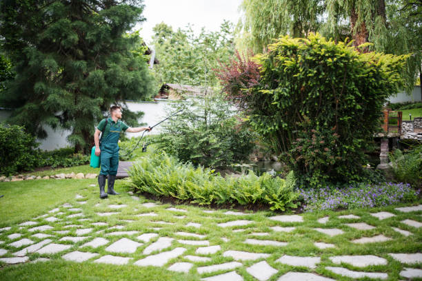 Best Insect Control  in Greenvle, IL