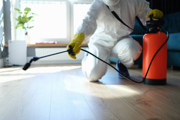 Flea Control Services in Greenville, IL