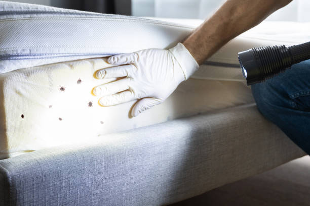 Best Best Pest Control Companies  in Greenvle, IL