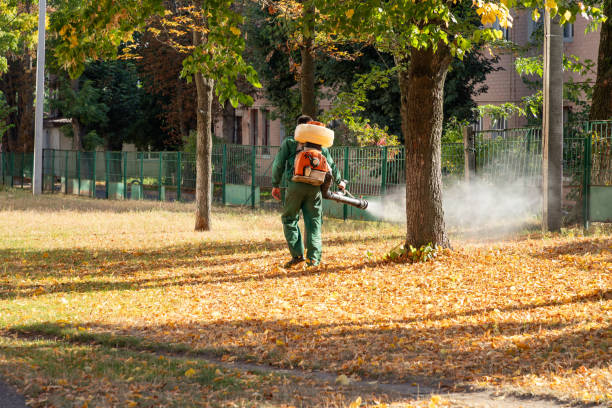 Best Pest Prevention Services  in Greenvle, IL