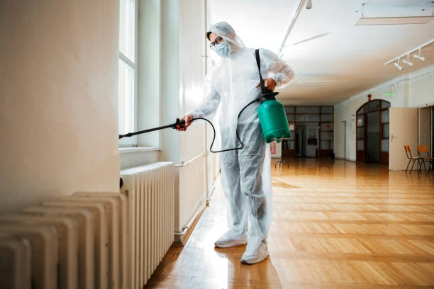 Best Insect Control  in Greenvle, IL