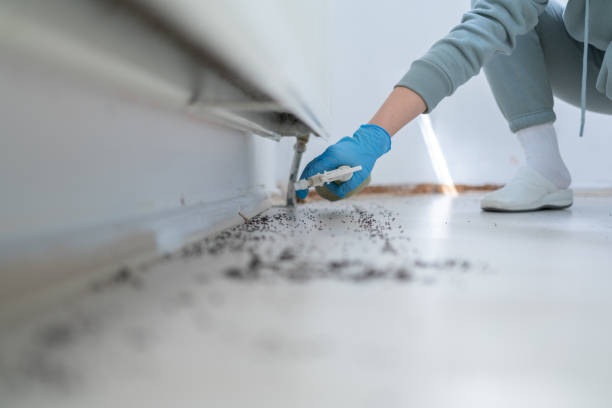 Best Commercial Pest Control Services  in Greenvle, IL