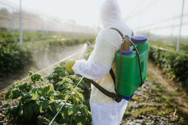 Best Pest Control Near Me  in Greenvle, IL
